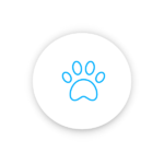 Petfriendly apartamentos matey